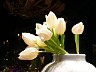 FILE078