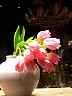 FILE080