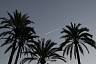 paris_163