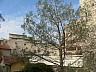 paris_166
