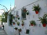 malaga017