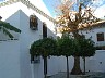 DSCF0968