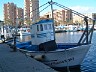 DSCF0974