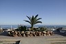 spain_023