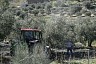 spain_037