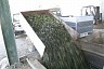 spain_045