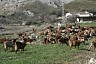 spain_052
