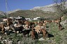 spain_054