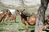 spain_057